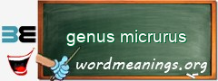 WordMeaning blackboard for genus micrurus